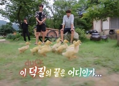 빵빵 이미지