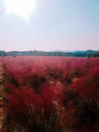 나리미용실 이미지