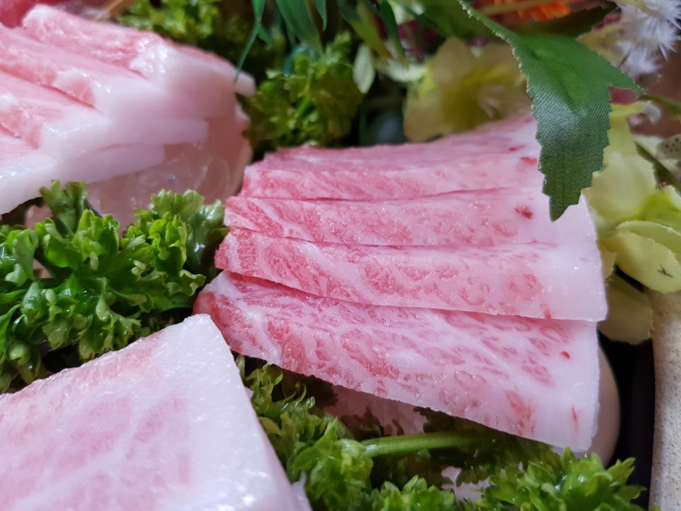 봉참치 이미지