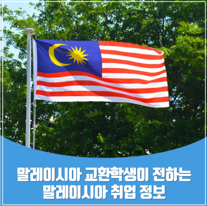 대한취업정보 이미지