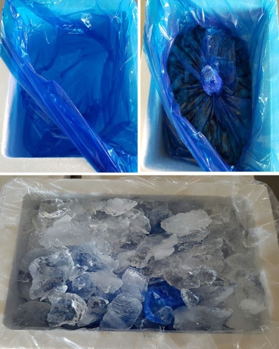 싱싱드림수산 이미지