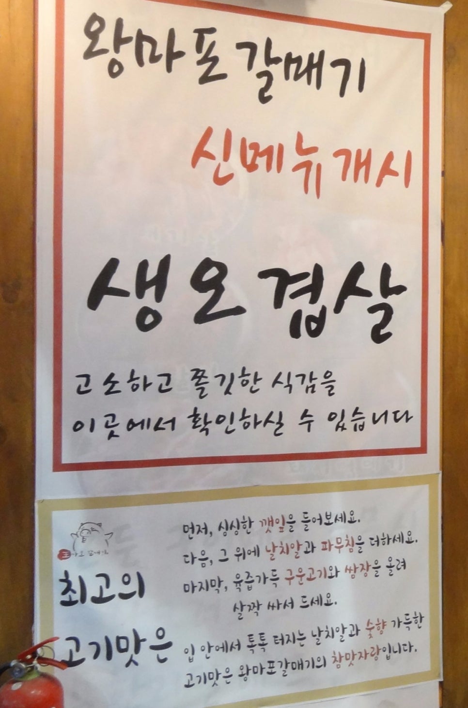 왕마포갈매기 이미지