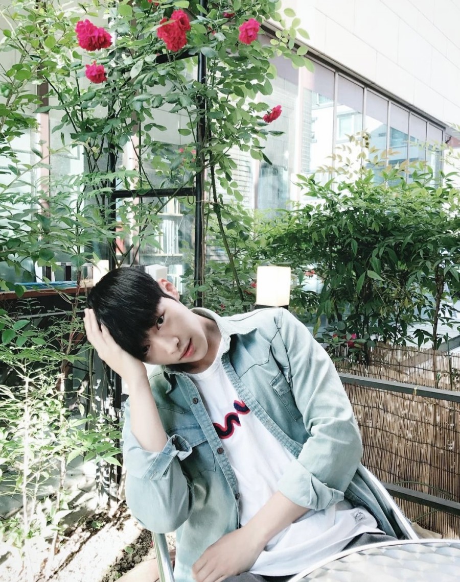 매드독핏 이미지
