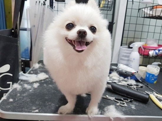 예쁜미용 이미지