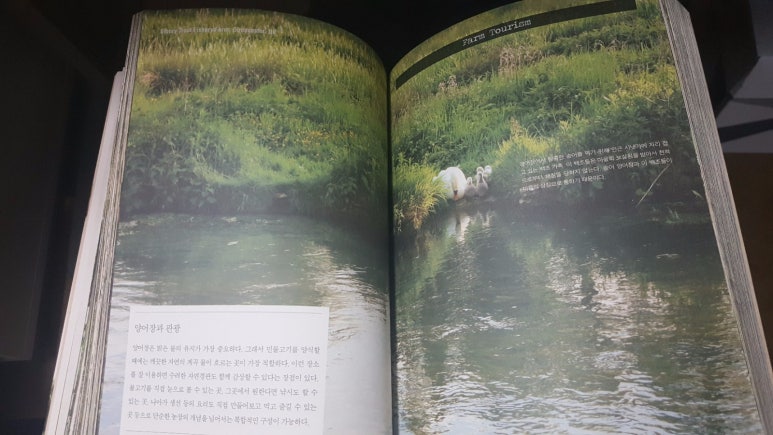 시골농산물유통 이미지