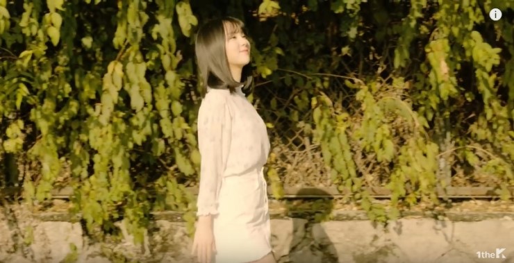 천지비디오 이미지
