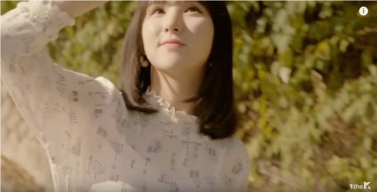 천지비디오 이미지