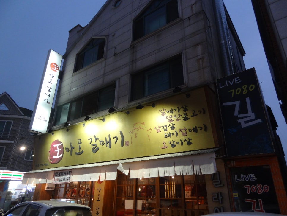 왕마포갈매기 이미지
