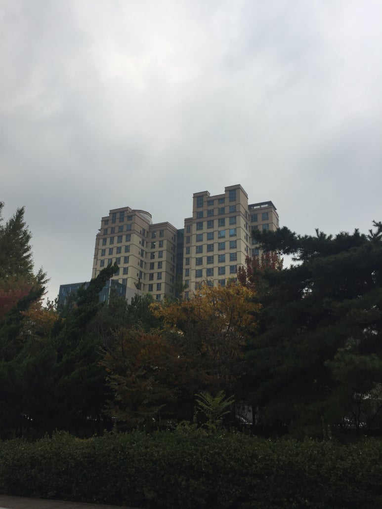 센트럴숲한의원 이미지