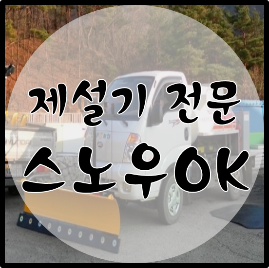 빅포유 이미지