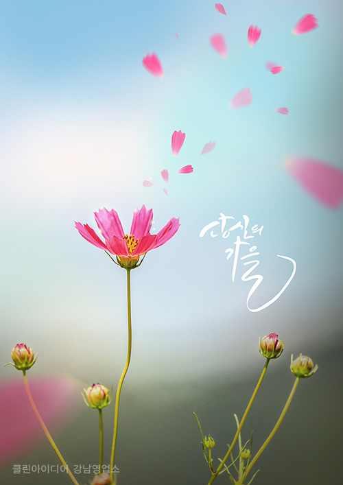 남도한식뷔페 이미지