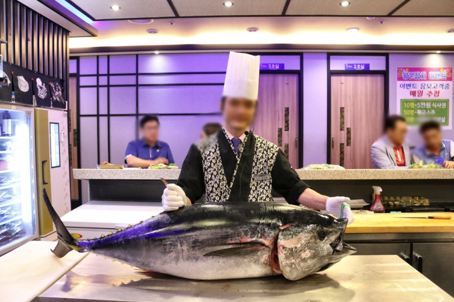 왕본참치 이미지