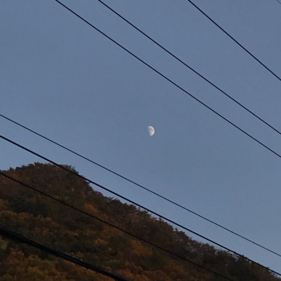 숲앤휴 이미지