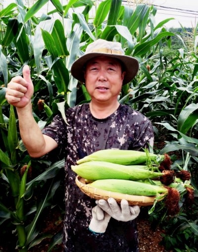 산촌식품 이미지