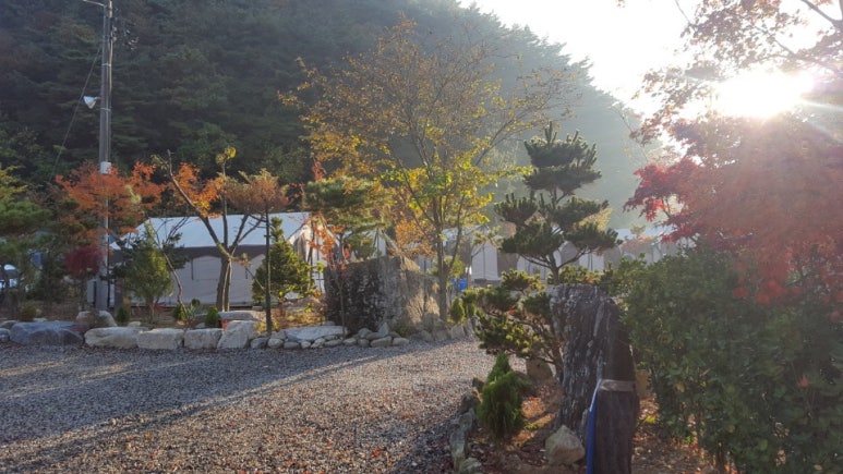 무주수목원캠핑장&글램핑 이미지