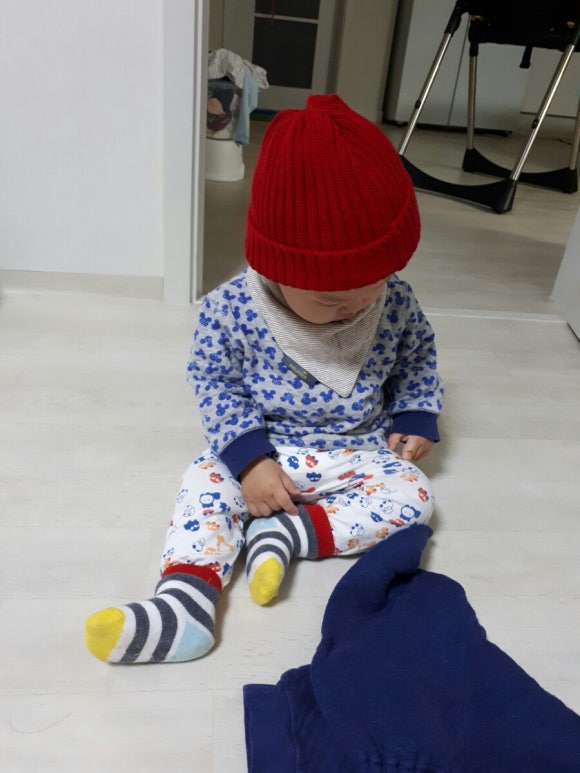 두리둘이 이미지