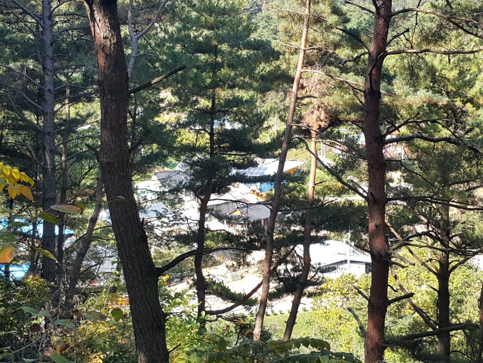 바람커피 이미지