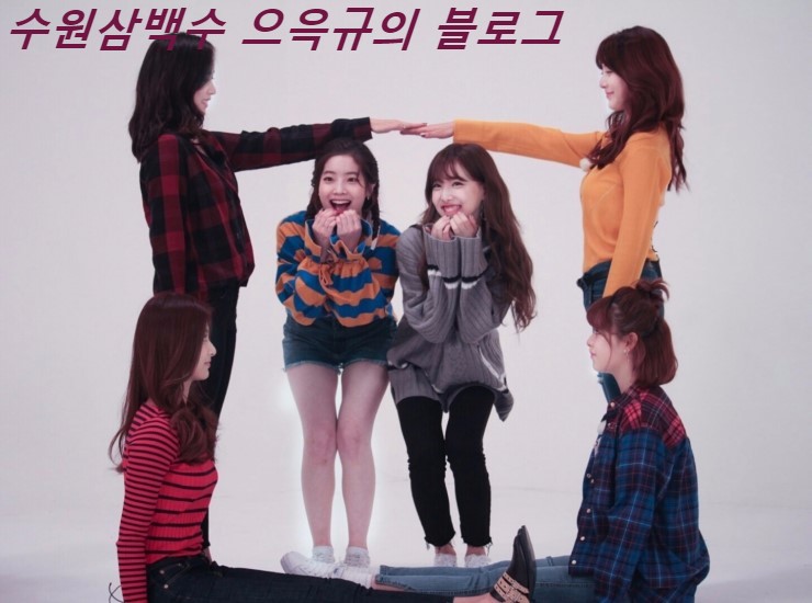 필7080 이미지