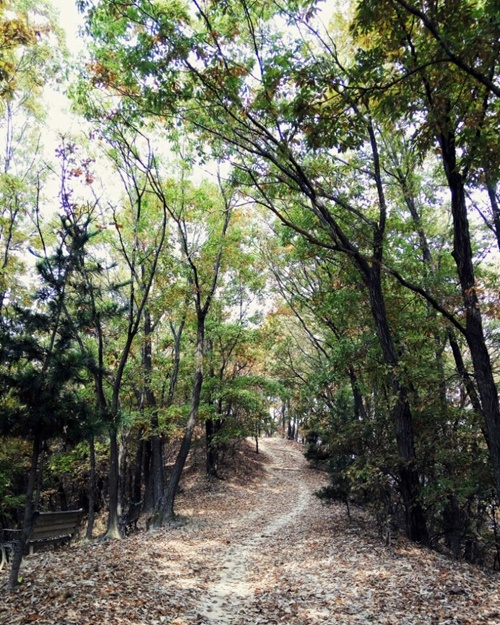조쿠롱 이미지
