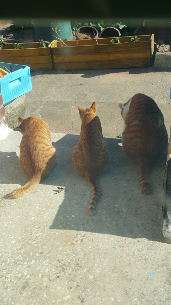 둔촌마당 이미지