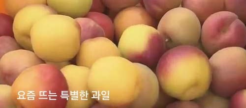 요즘과일 이미지