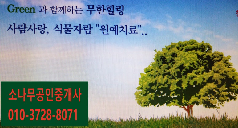 한아름원예치료 이미지