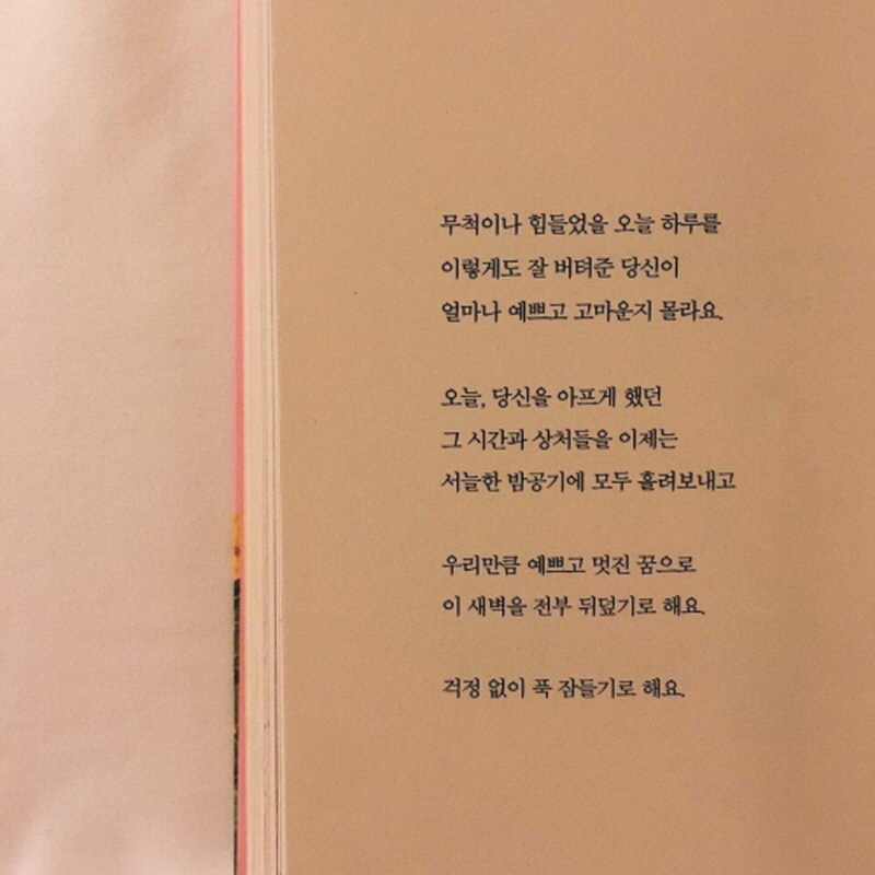 반땅 이미지