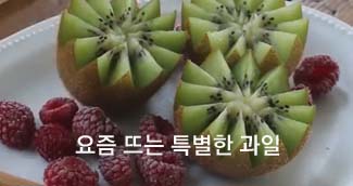 요즘과일 이미지