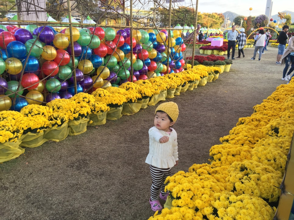 꽃을;보다 이미지