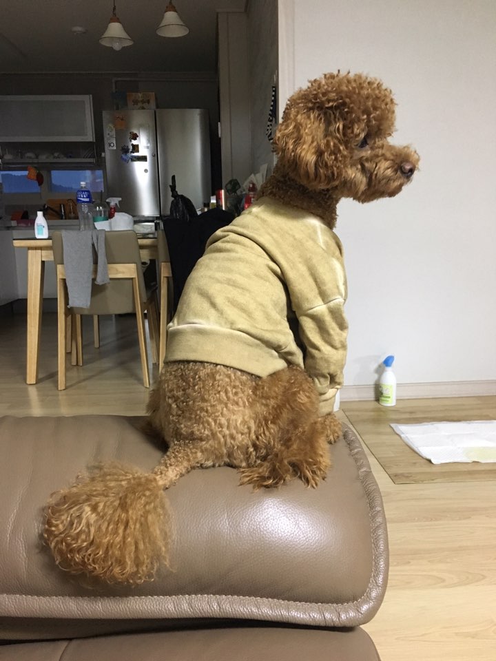 오키닭발 이미지