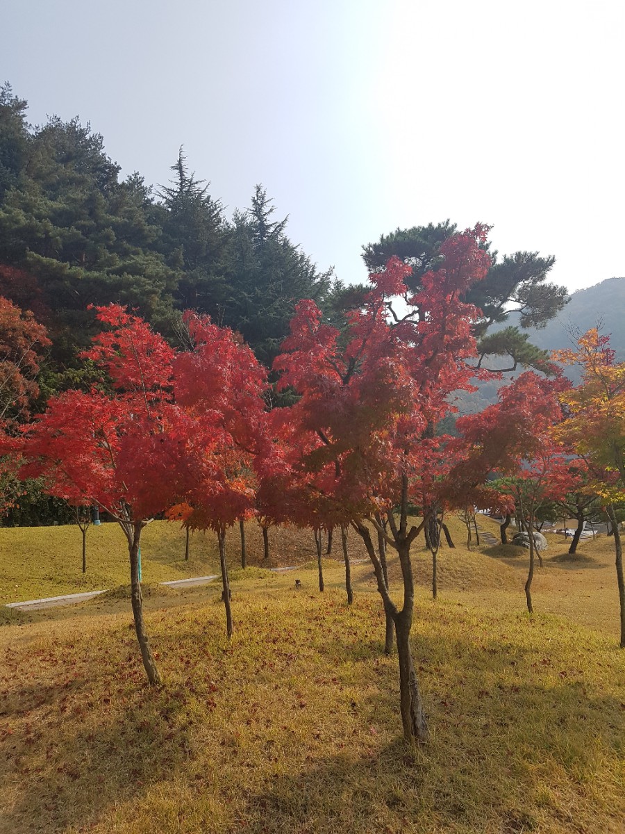직지민박 이미지