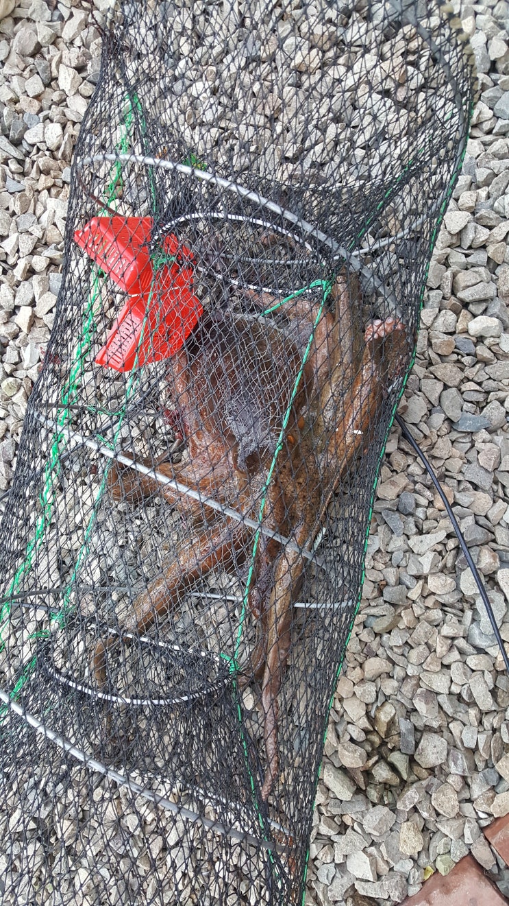 매물도펜션 이미지