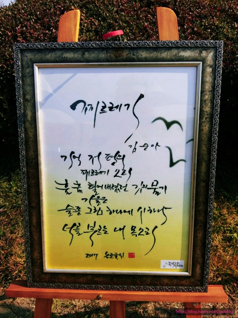 풀빛소리 이미지