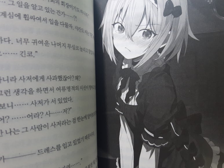 수류기전 이미지