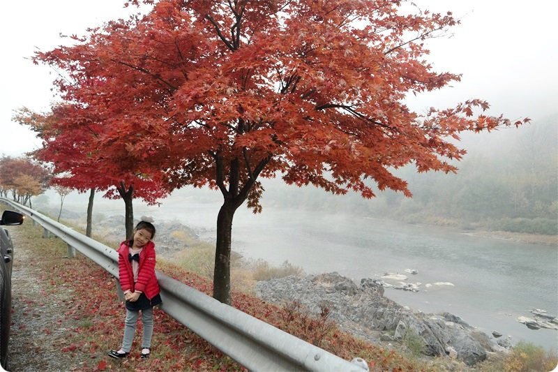 동강리버스타 이미지