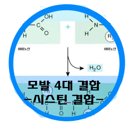 착한헤어 이미지