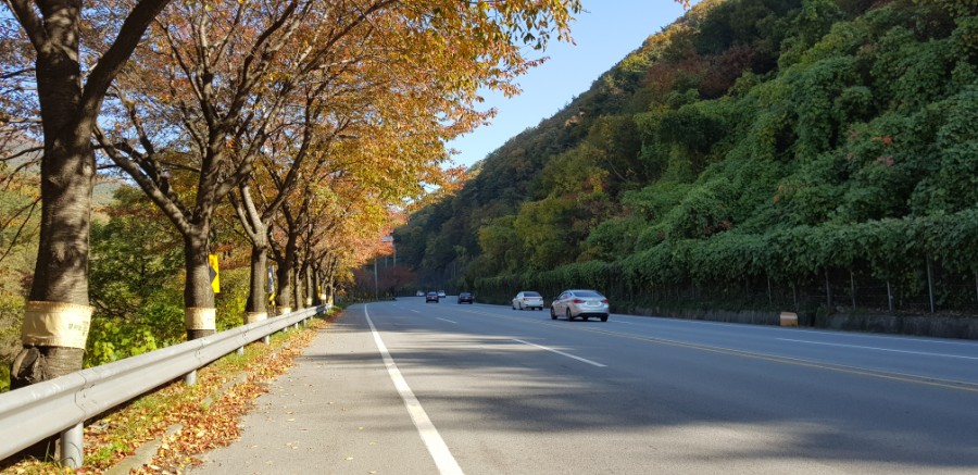 팔공산심천랜드 이미지