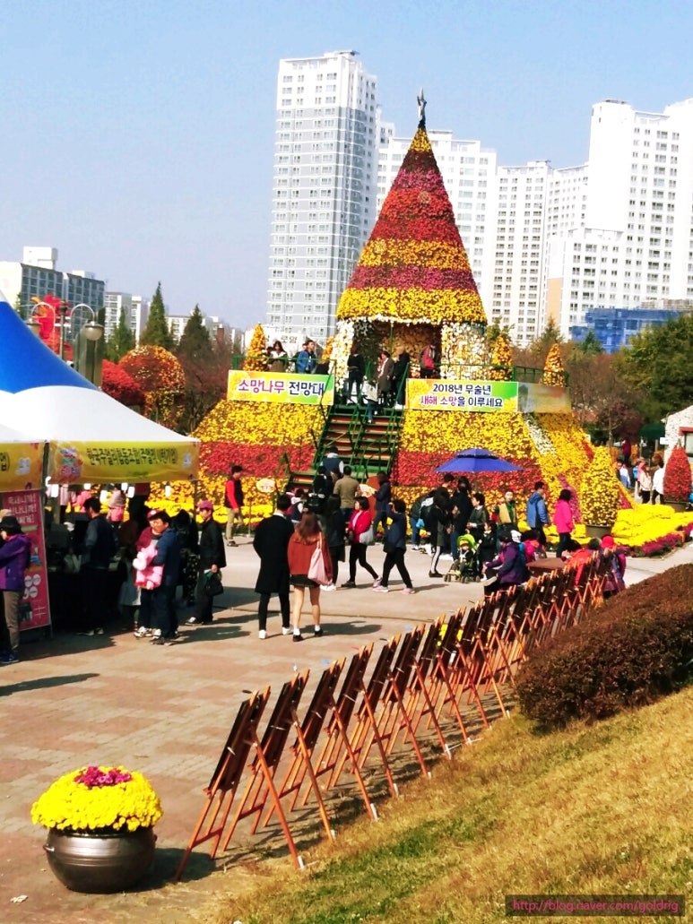 풀빛소리 이미지
