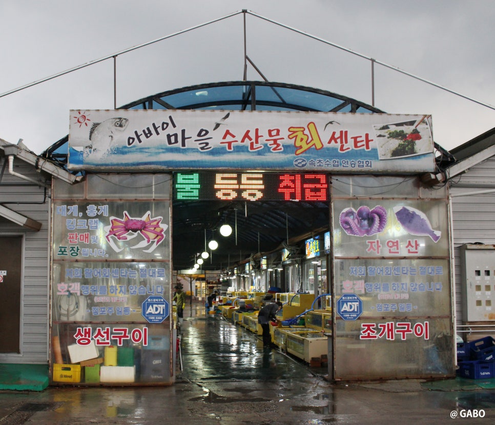 춘길호 이미지
