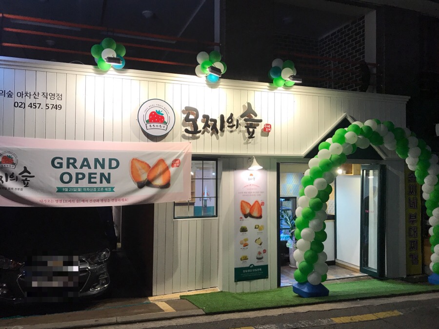 모찌의숲 이미지