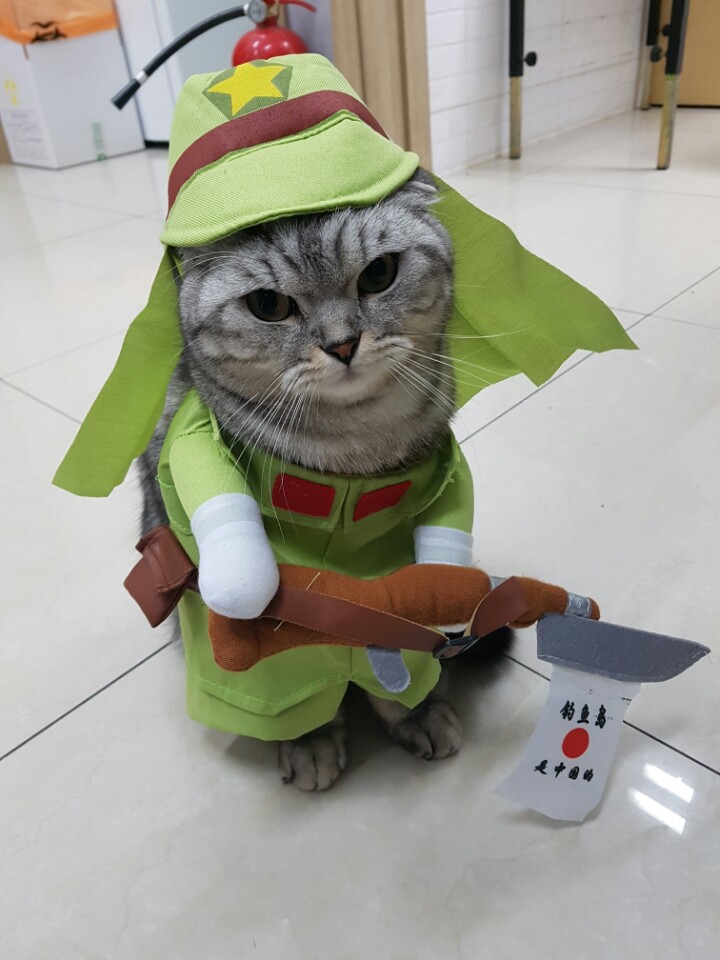 푸른들동물병원 이미지