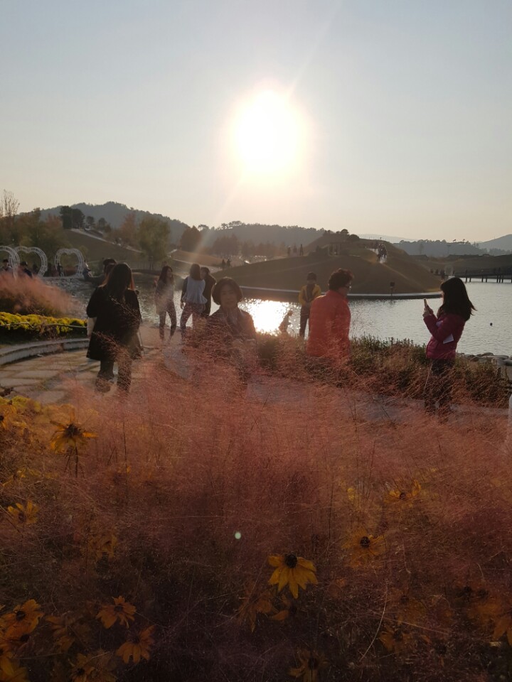 제주이글여행사 이미지