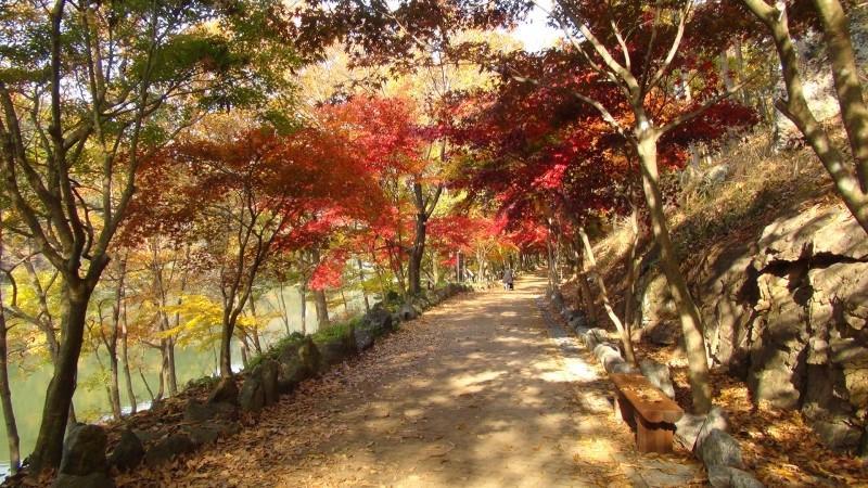 콜핑부산 이미지