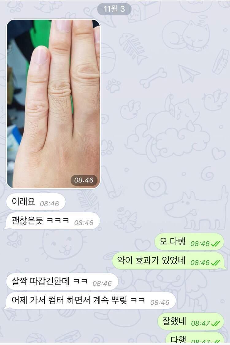 복원양꼬치 이미지