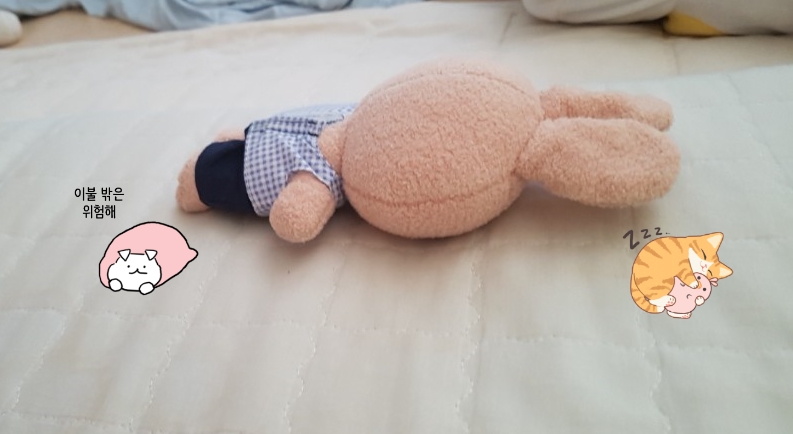 다둥이네족발 이미지