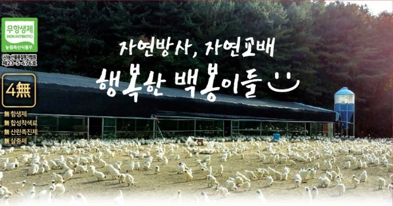백봉오골계법인 이미지
