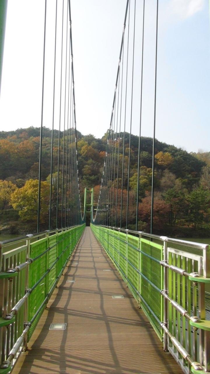 콜핑부산 이미지