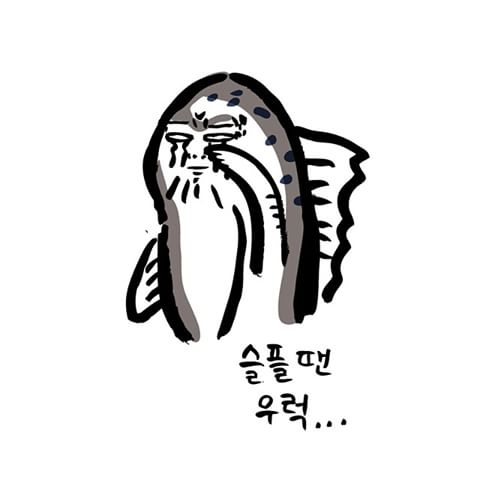 김선장 이미지