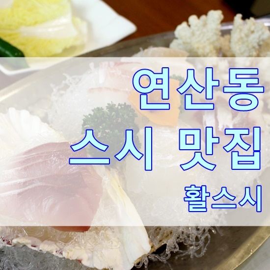 스시 이미지