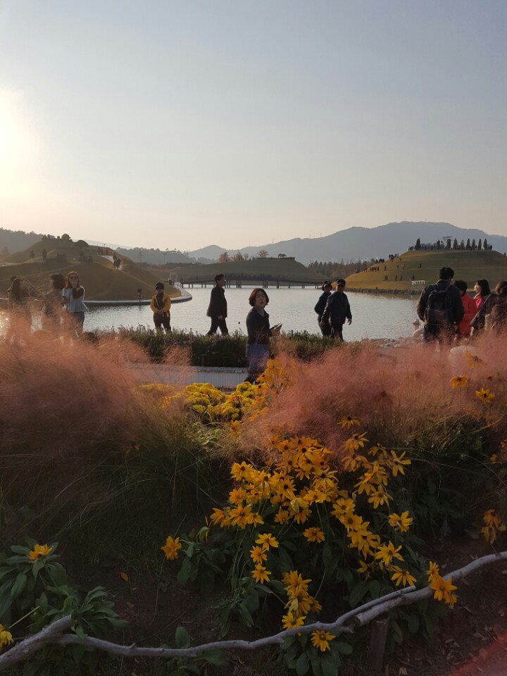 제주이글여행사 이미지